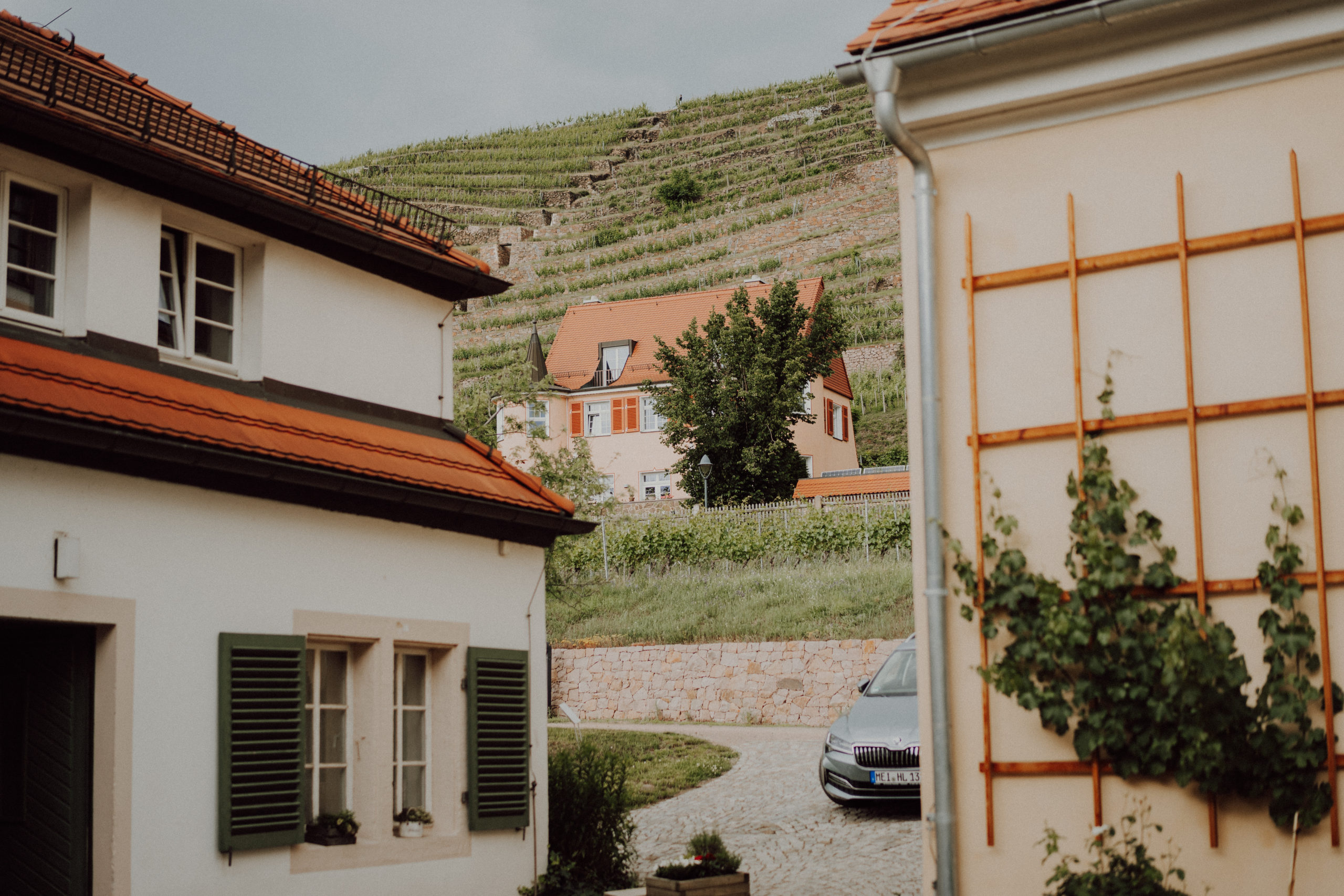 hochzeit heiraten sachsen dresden weinberge